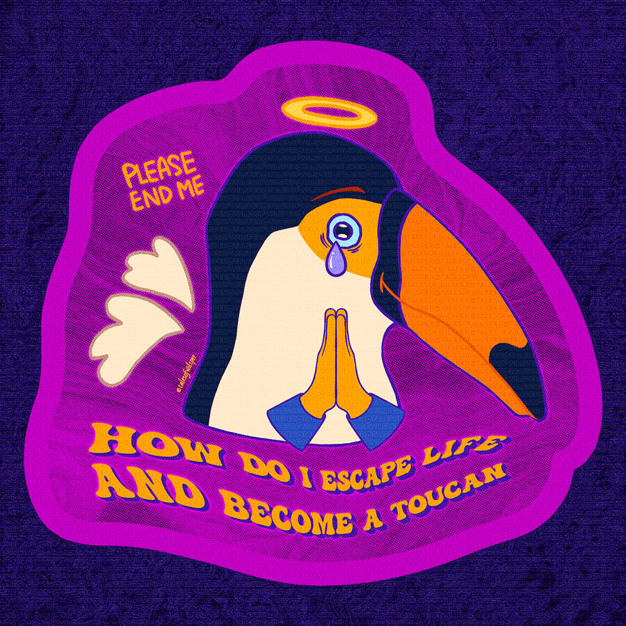 How do I escape life and become a toucan